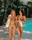 brown bikini bottom dots
